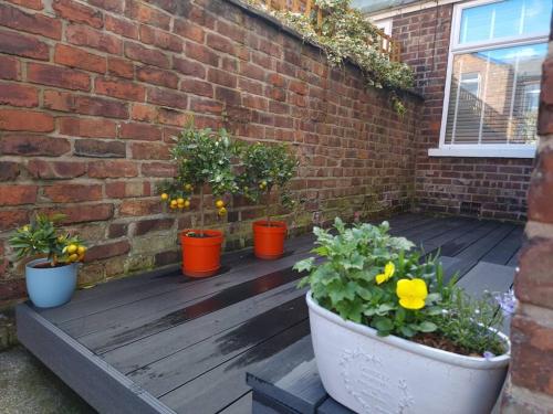 Gorgeous Edwardian Terrace in Old Trafford photo 15