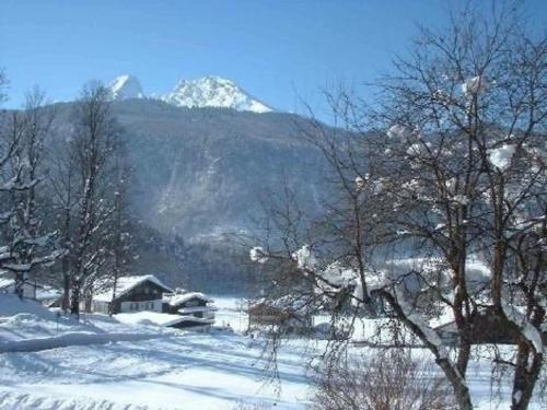 einen schneebedeckten Berg mit einem Haus und Bäumen in der Unterkunft Wohnung in Unterschönau mit Grill in Schönau am Königssee