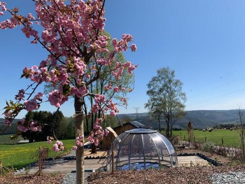 un albero con fiori rosa accanto a una gabbia di Ferienhaus mit Privatpool für 4 Personen ca 120 qm in Trois-Ponts, Wallonie Spa-Francorchamps und Umgebung a Trois-Ponts