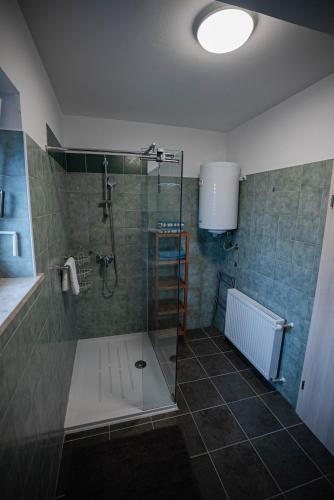 a bathroom with a shower with a glass door at Olive Garden Apartment in Plovanija