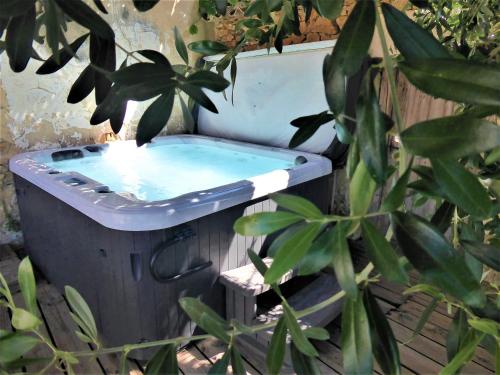 Gambar di galeri bagi gite de caractere au calme au milieu des vignes avec piscine et jaccuzi di Bagnols-sur-Cèze