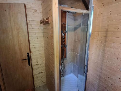 a shower with a glass door in a bathroom at Chalet Saint-Michel-de-Chaillol, 4 pièces, 6 personnes - FR-1-393-159 in Saint-Michel-de-Chaillol