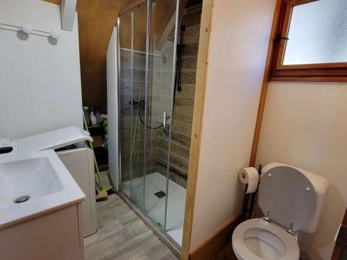 a bathroom with a shower and a toilet and a sink at Chalet Saint-Michel-de-Chaillol, 3 pièces, 5 personnes - FR-1-393-165 in Saint-Michel-de-Chaillol