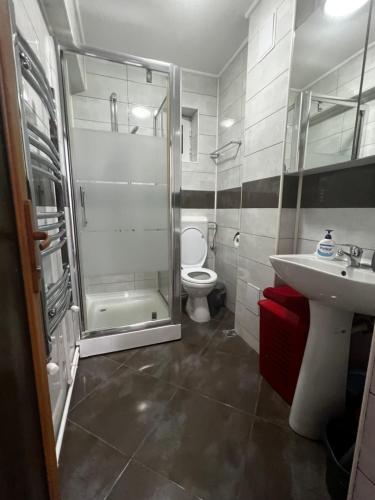 een badkamer met een douche, een toilet en een wastafel bij Apartament Teo Ultracentral in Piteşti