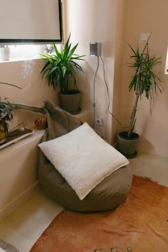 a bean bag chair in a room with potted plants at Casa Africa in Tarifa