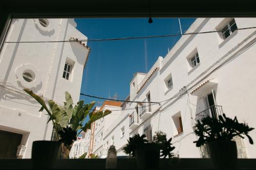 a reflection of a building with plants in a window at Casa Africa in Tarifa