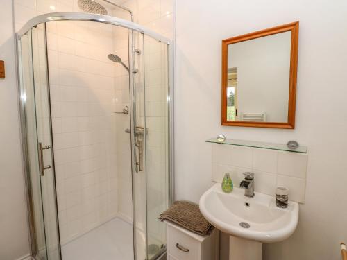 a bathroom with a shower and a sink at Woodland View in Bishop Auckland