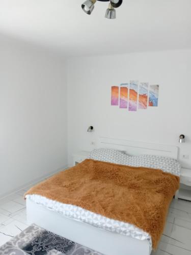 a white room with a bed with a brown rug at Casa Eva in Bucureşci