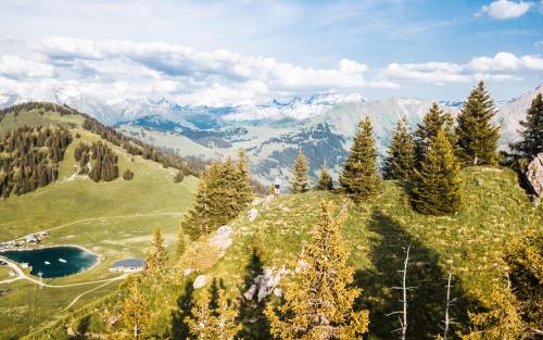 a view of a mountain with trees and a lake at Saanen Gstaad Youth Hostel in Gstaad
