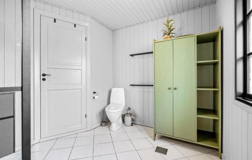 Bjerregårdにある3 Bedroom Pet Friendly Home In Hvide Sandeのバスルーム(トイレ付)、緑のキャビネットが備わります。