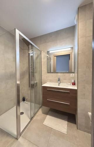 une salle de bain avec une douche, un lavabo et un miroir dans l'établissement t4 avec terrasse face mer, à Ajaccio