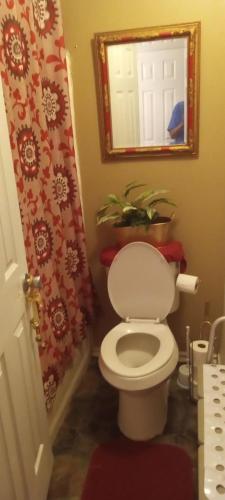 uma casa de banho com um WC com um espelho e uma planta em Vanessa rooms em Harker Heights