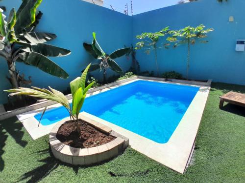 una piscina en un patio con una maceta en Praia Guest House en Praia