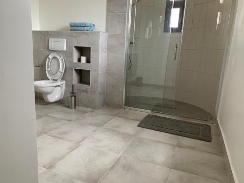 uma casa de banho com um WC e um chuveiro com uma porta de vidro em Superbe appartement spacieux em Iaundé