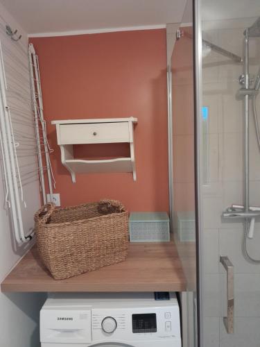 un bagno con lavandino e lavatrice di Chez Paulette a Halinghen