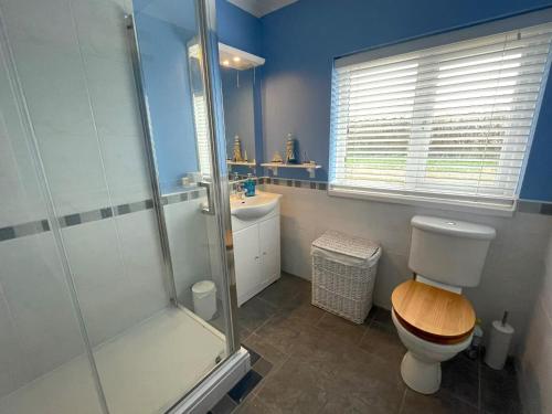 a bathroom with a shower and a toilet and a sink at Caerhafod Nanternis in Llanllwchaiarn