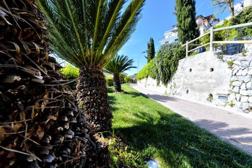 a palm tree in the grass next to a sidewalk at In Costa Relais & Luxury Suites in Vietri sul Mare