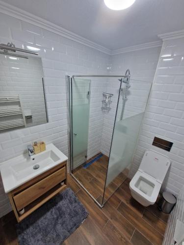 a bathroom with a shower and a sink and a toilet at Gabi's Home #2 in Sighişoara