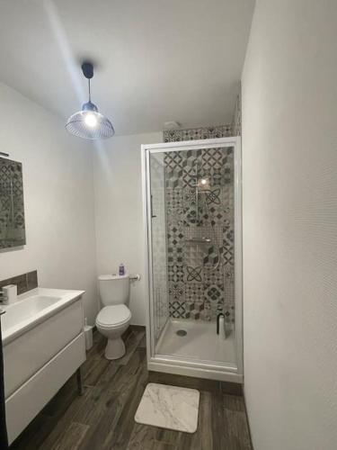 une salle de bain avec une douche, des toilettes et un lavabo dans l'établissement L’azur au centre de Vitré et proche château/gare, à Vitré