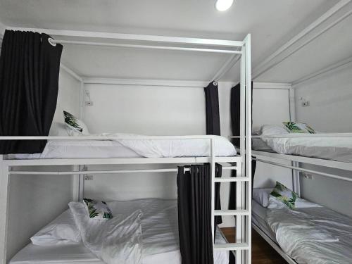 two bunk beds in a room with white walls at Tiger House Hostel Koh Tao in Koh Tao