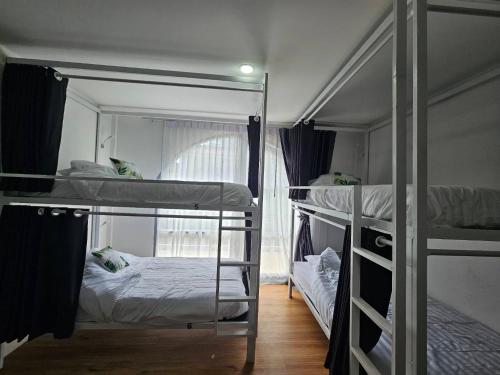 a room with two bunk beds and a window at Tiger House Hostel Koh Tao in Koh Tao