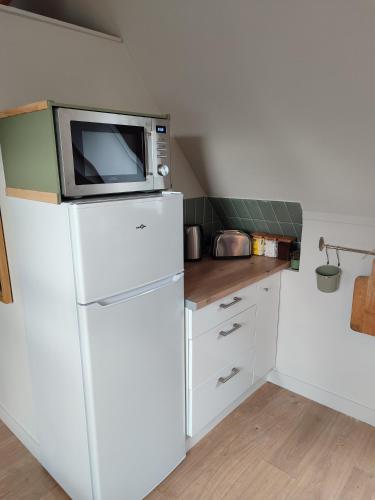 Il comprend une cuisine équipée d'un four micro-ondes et d'un réfrigérateur. dans l'établissement Appartement Terrasse, à Bagnoles-de-l'Orne