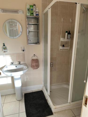 uma casa de banho com um chuveiro e um lavatório. em Home near the River Shannon em Rooskey