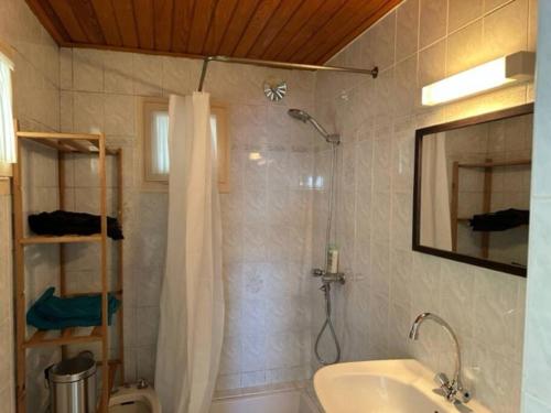 La salle de bains est pourvue d'une douche, de toilettes et d'un lavabo. dans l'établissement Petite maison et son jardinet, à Angers