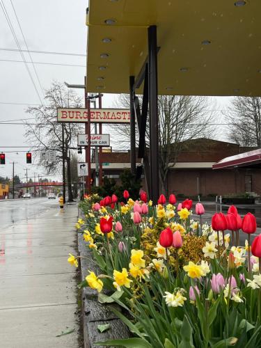 a bunch of flowers in front of a building at Columbus Motor Inn in Seattle