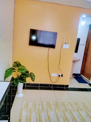 a room with a flat screen tv on a wall at Cozy One bedroom B&B in Thika