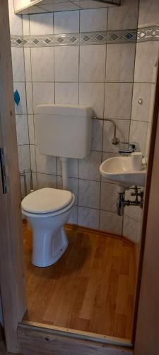 a small bathroom with a toilet and a sink at CasaRoberto Apartment 1 in Gosau