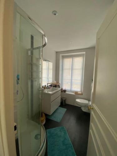 une salle de bain avec une douche, un lavabo et des toilettes dans l'établissement Appartement quartier historique abbaye aux hommes, à Caen