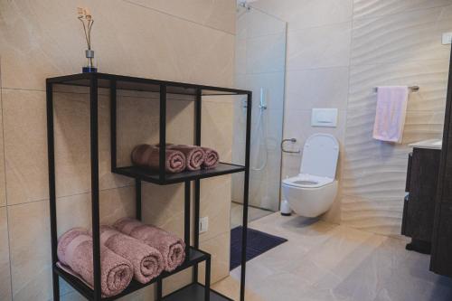 a bathroom with a toilet and a shelf with towels at Apartma Ksenija in Črniče