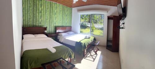 a bedroom with two beds and a window with green walls at ROCCA VENTO in Bajo Boquete