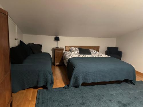 1 dormitorio con 2 camas y alfombra azul en Le bleu Levant, en Vaux-devant-Damloup