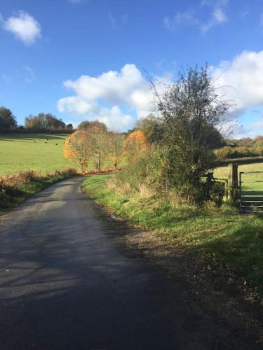 a road leading to a field with trees and a fence at Little studio annexe in Marlow