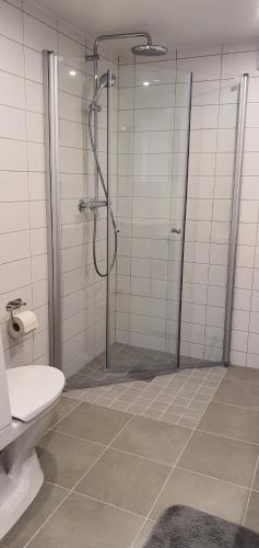 a bathroom with a shower and a toilet at Smakfullt attefallshus med stort loft nära naturen in Stockholm