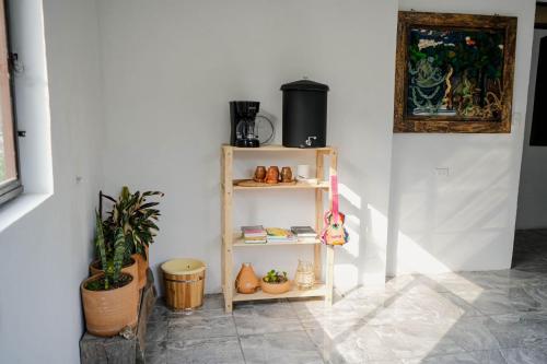 una stanza con una mensola con piante e un quadro di 4 Elementos Hostal a San Juan La Laguna