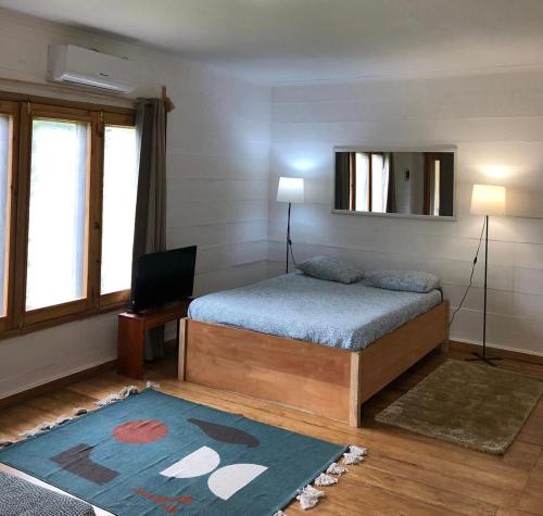 a bedroom with a bed and a television and a rug at Kingfisher- Principe in Santo António