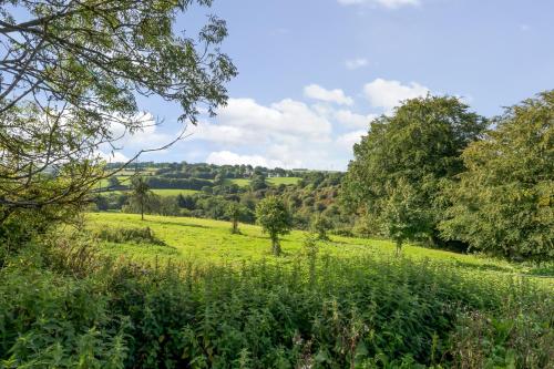 a field of green grass with trees in the background at Tumbledown Barn in Knowstone
