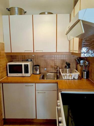 encimera de cocina con microondas y fregadero en Espacioso apartamento en Ginebra
