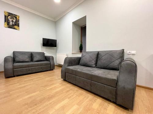 - un salon avec un canapé et une télévision dans l'établissement Bera Studio, à Tbilissi