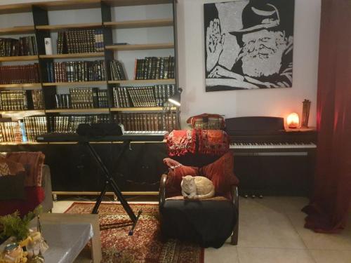 eine Katze, die auf einem Stuhl vor einem Klavier sitzt in der Unterkunft נווה מדבר in Jerusalem