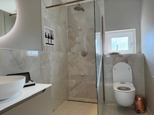a bathroom with a shower and a toilet and a sink at Beach House Zandvoort in Zandvoort
