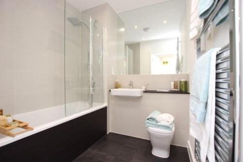 a bathroom with a toilet and a sink and a shower at 5* Cambridge Boutique Apartment in Trumpington
