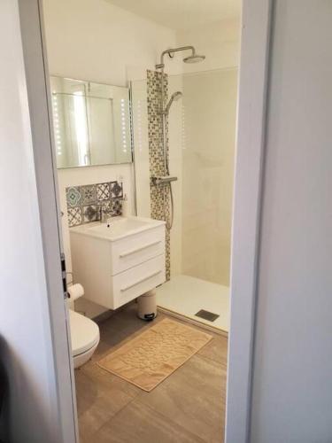 une salle de bain avec toilettes, lavabo et douche dans l'établissement Air-conditioned apartment beach access on foot, à Lumio