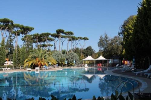 una piscina en un complejo con palmeras en Toscane aan zee Caravan,- Mobile home- Chalet ZR8 Viareggio, Pisa, Lucca en Torre del Lago Puccini