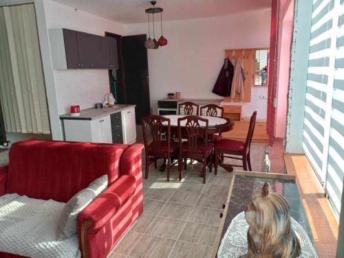 Kuchyň nebo kuchyňský kout v ubytování Apartman SANI