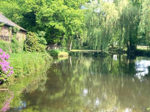 a view of a river with trees and a house at La demeure romantique in Bazouges-sous-Hédé