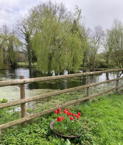 a fence with red flowers next to a river at La demeure romantique in Bazouges-sous-Hédé